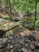 postsbrooktrailbridge202315_small.jpg