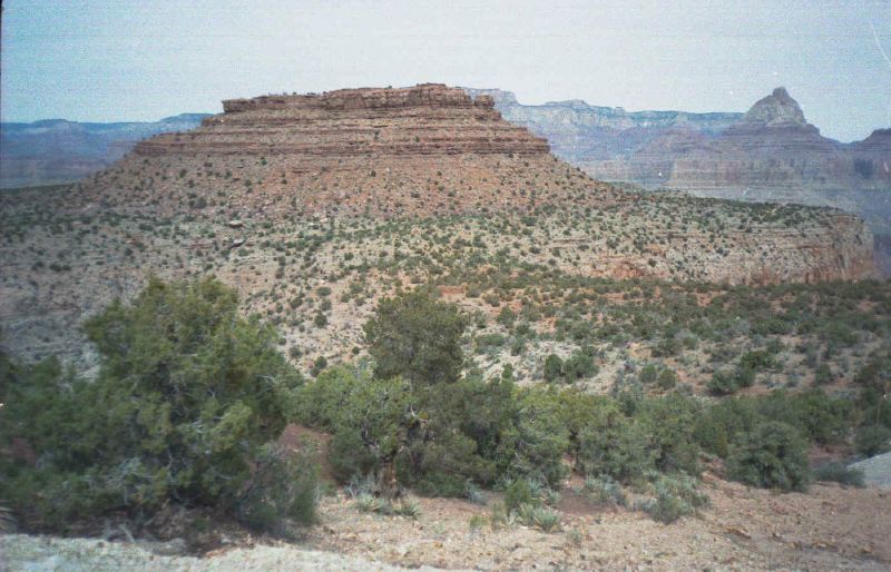 003_M2_29a